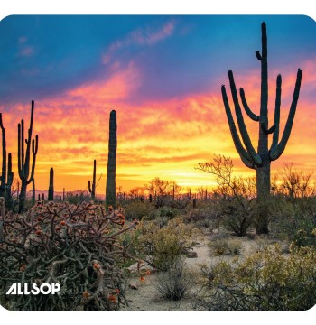 Allsop 32412 Naturesmart Saguaro Mousepad Eco-Friendly construction