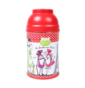 Bonbons Barnier Assorted Fruit Lollipops in Parisian Gift Tin 5.6oz