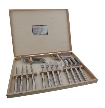 Jean Dubost 20pc Stainless Steel Flatware Set in Clasp Box