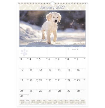 AT-A-GLANCE® 2027 Puppies Monthly Wall Calendar, Large, 15 1/2" x 22 3/4"